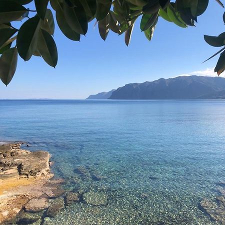 The Island House - Family Size Apt - Overlooking The Aegean - 3 Steps From The Beach Мохлос Екстериор снимка